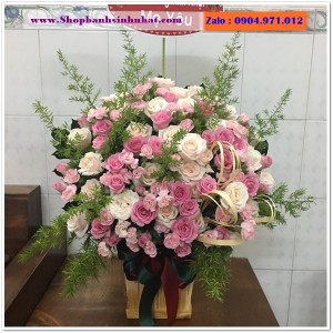 Hoa Tươi Tặng Khai Trương - OK50